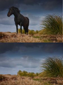 exemple Gimp exemple Gimp 224x300 Photo – Faire un beau cliché… (mise à jour)