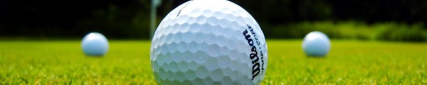 green golf green golf HTC Golf succède au WildFire et Wildfire S