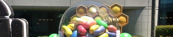 android jelly bean bandeau Jelly Bean débarque en France