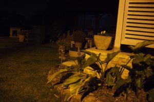 IGP7211 300x199 Pentax K30   le Test